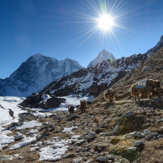 Everest Base Camp Experience 